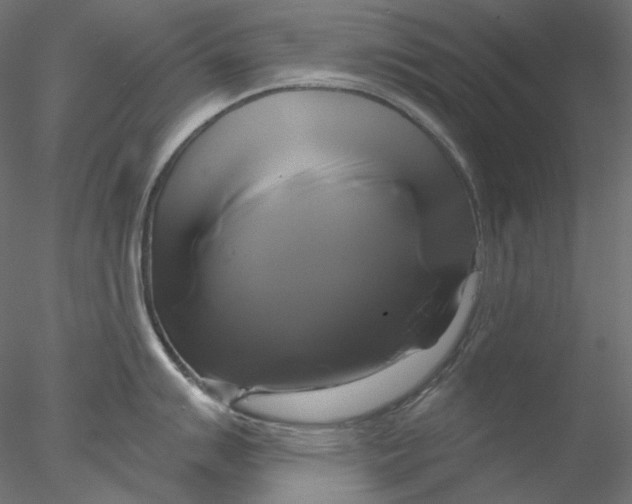 X0000076381007200611031624