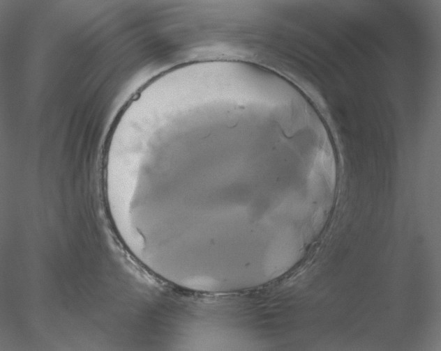 X0000076381008200611031624