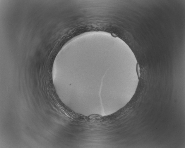 X0000076381009200611031624