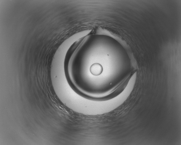 X0000076381010200611031624