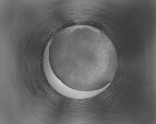 X0000076381012200611031624