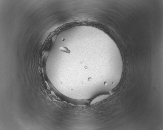 X0000076381016200611031624