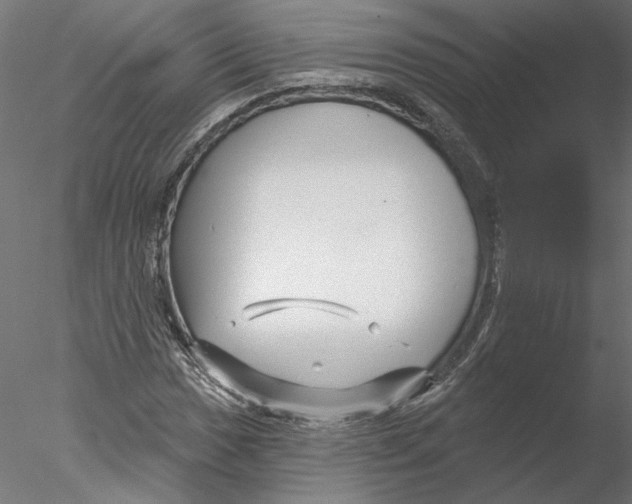 X0000076381017200611031624