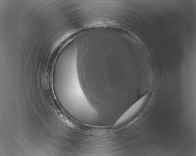 X0000076381018200611031624