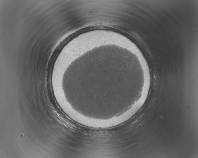 X0000076381020200611031624