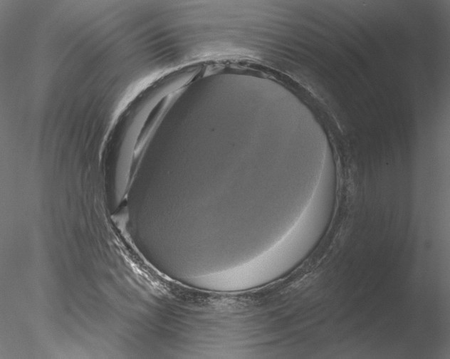 X0000076381022200611031624