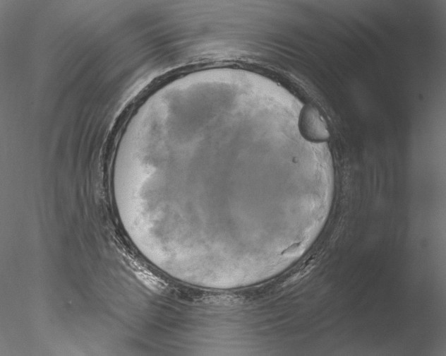 X0000076381023200611031624