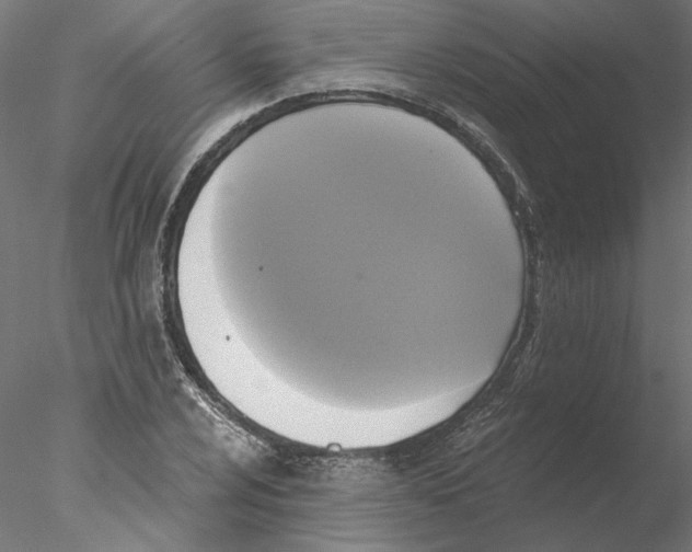 X0000076381024200611031624