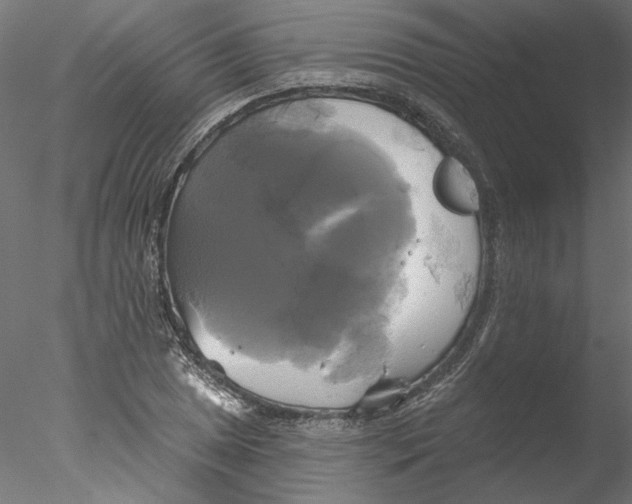 X0000076381025200611031624