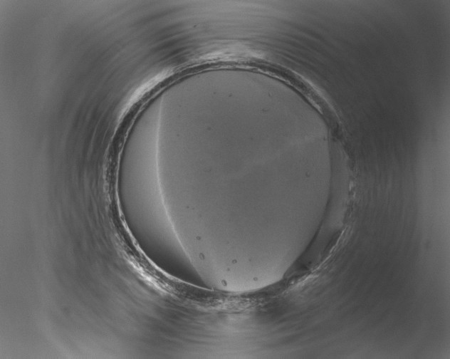 X0000076381026200611031624