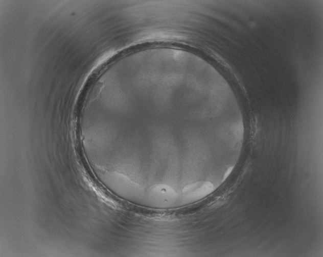 X0000076381029200611031624