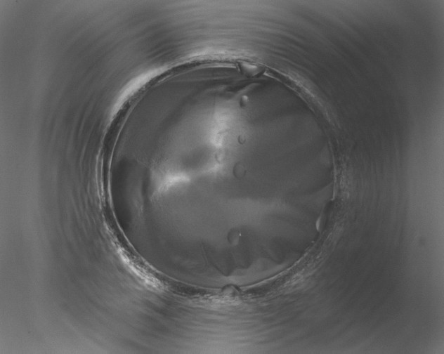 X0000076381030200611031624