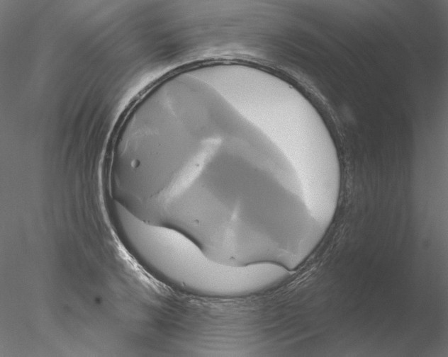 X0000076381032200611031624