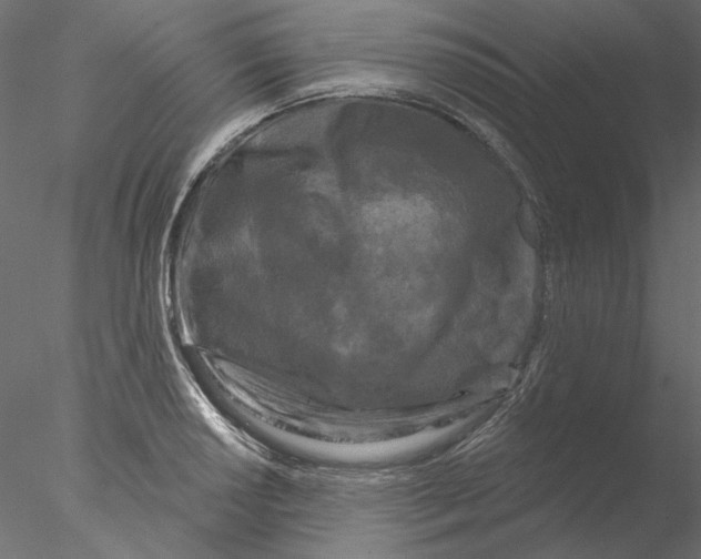 X0000076381034200611031624