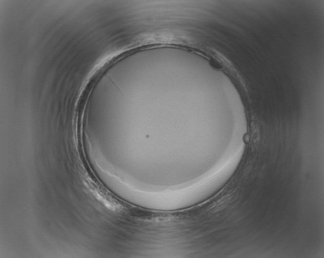 X0000076381035200611031624