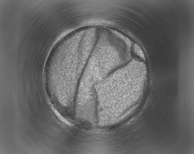 X0000076381037200611031624