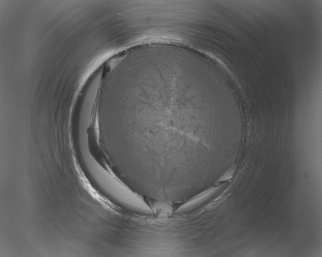 X0000076381038200611031624