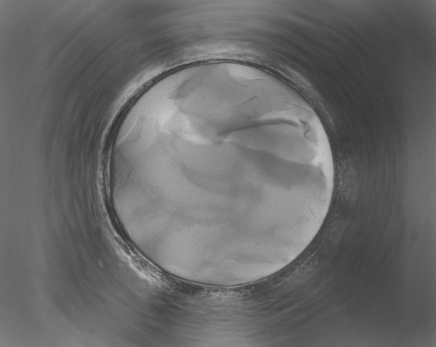 X0000076381043200611031624