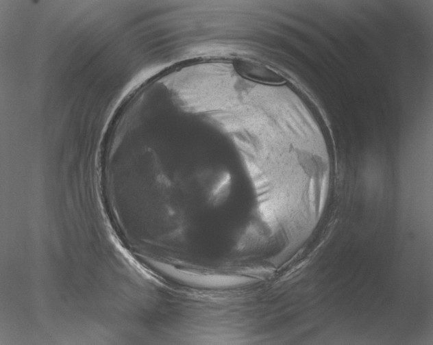 X0000076381045200611031624