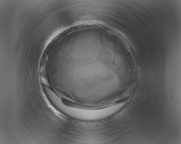 X0000076381046200611031624