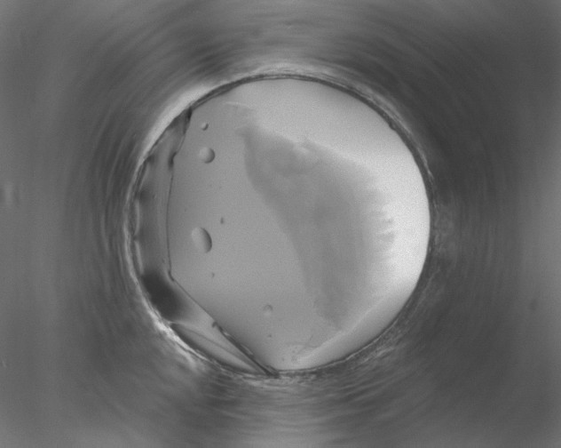 X0000076381048200611031624