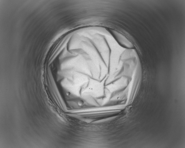 X0000076381051200611031624