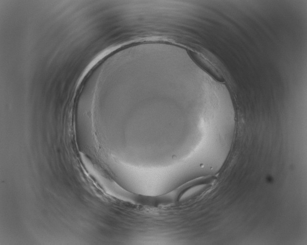 X0000076381052200611031624