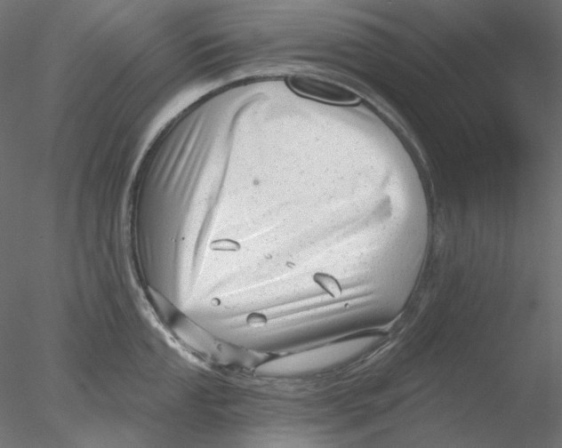 X0000076381053200611031624