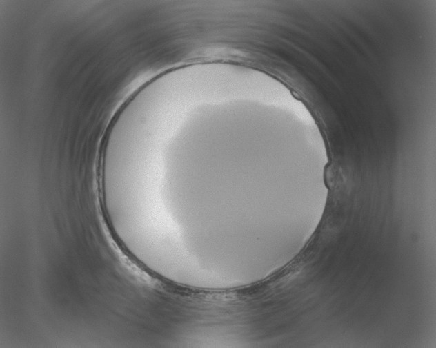 X0000076381055200611031624