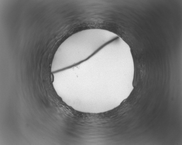 X0000076381057200611031624