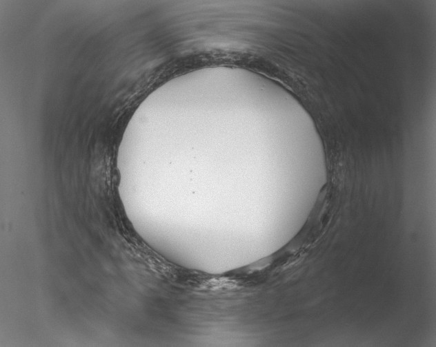 X0000076381061200611031623