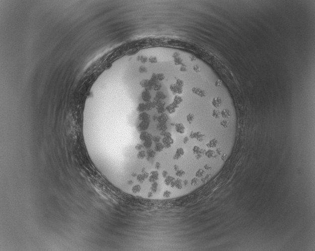 X0000076381064200611031623