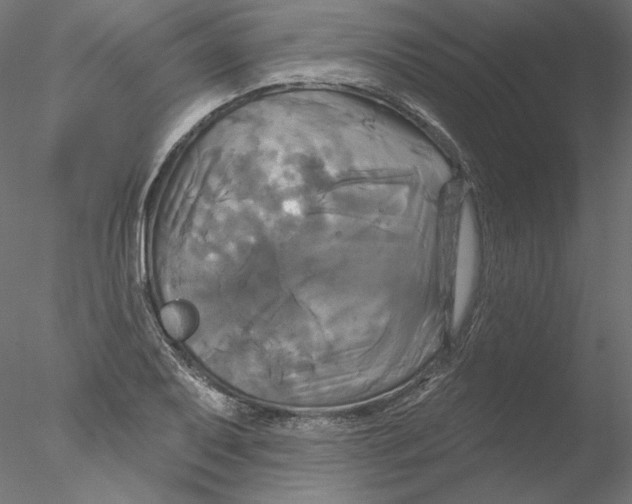 X0000076381079200611031623