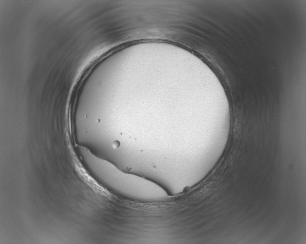 X0000076381080200611031623