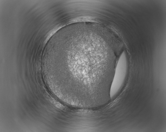 X0000076381081200611031623