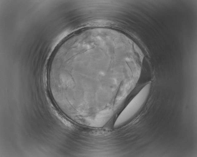 X0000076381083200611031623