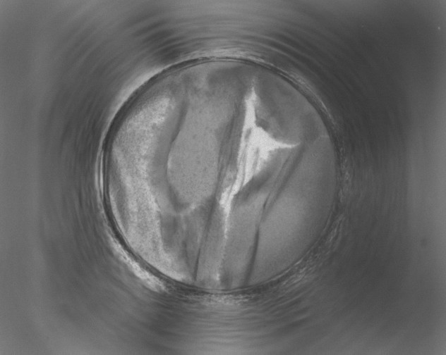 X0000076381084200611031623