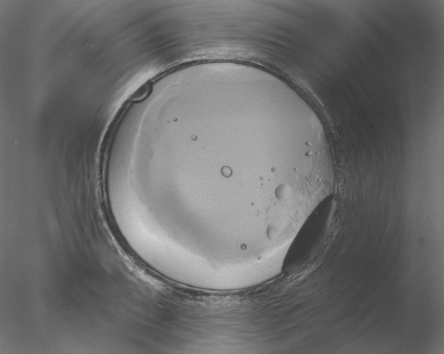 X0000076381087200611031623