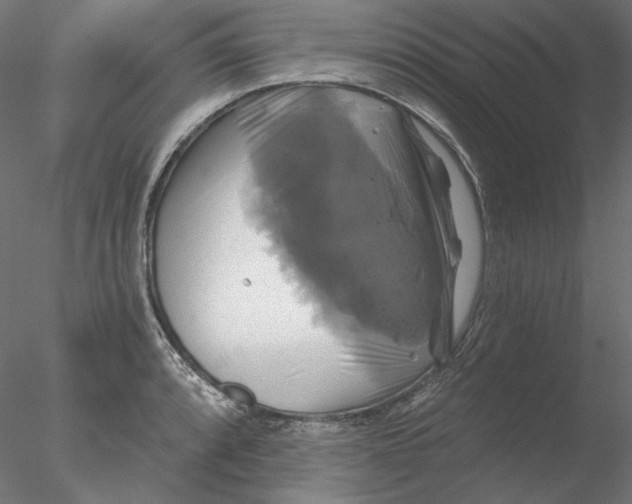 X0000076381088200611031623