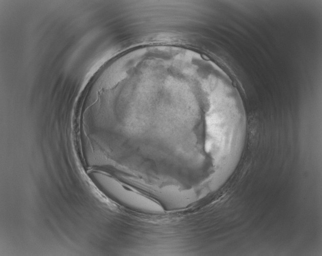 X0000076381091200611031623