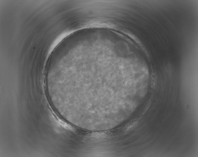 X0000076381094200611031623