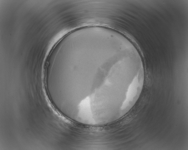 X0000076381096200611031623