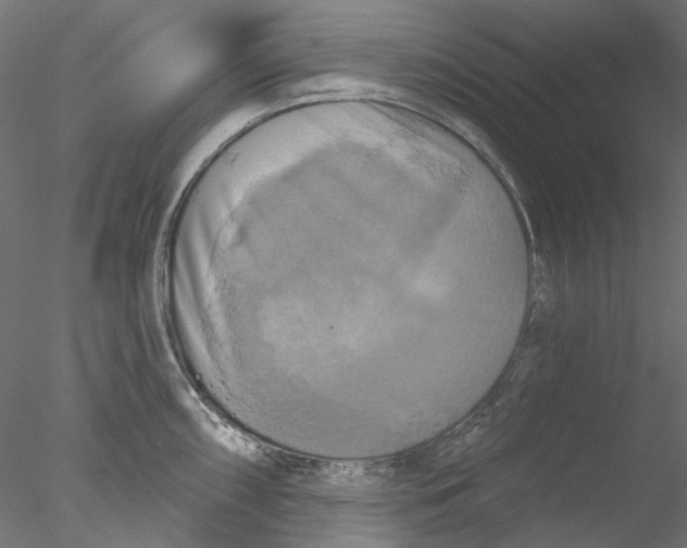 X0000076381098200611031623