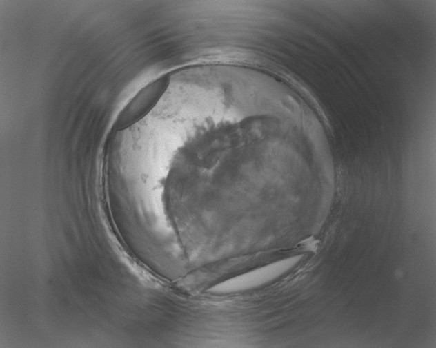 X0000076381099200611031623