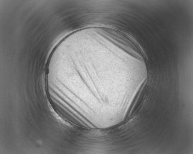 X0000076381100200611031623