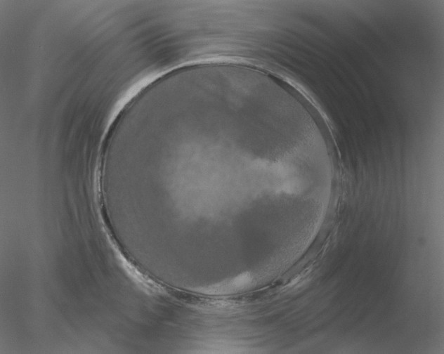 X0000076381101200611031623