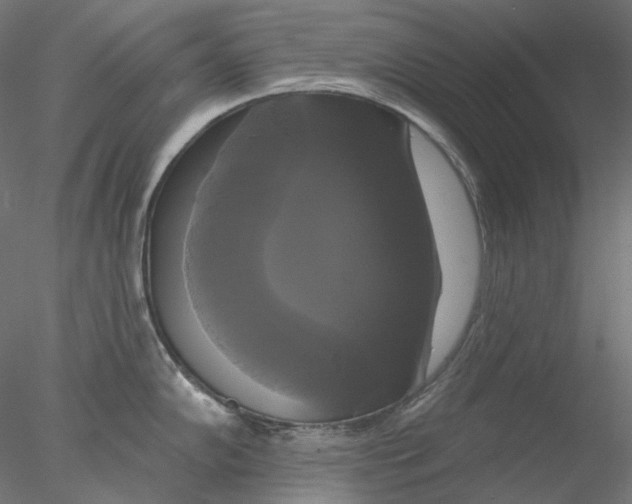 X0000076381102200611031623