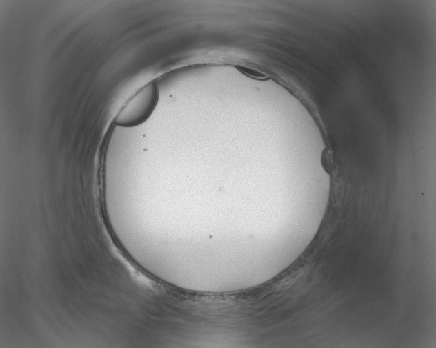 X0000076381103200611031623