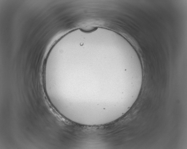 X0000076381104200611031623