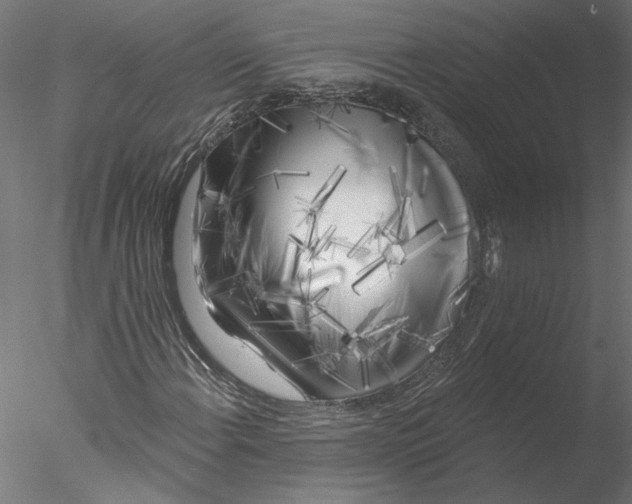 X0000076381108200611031622